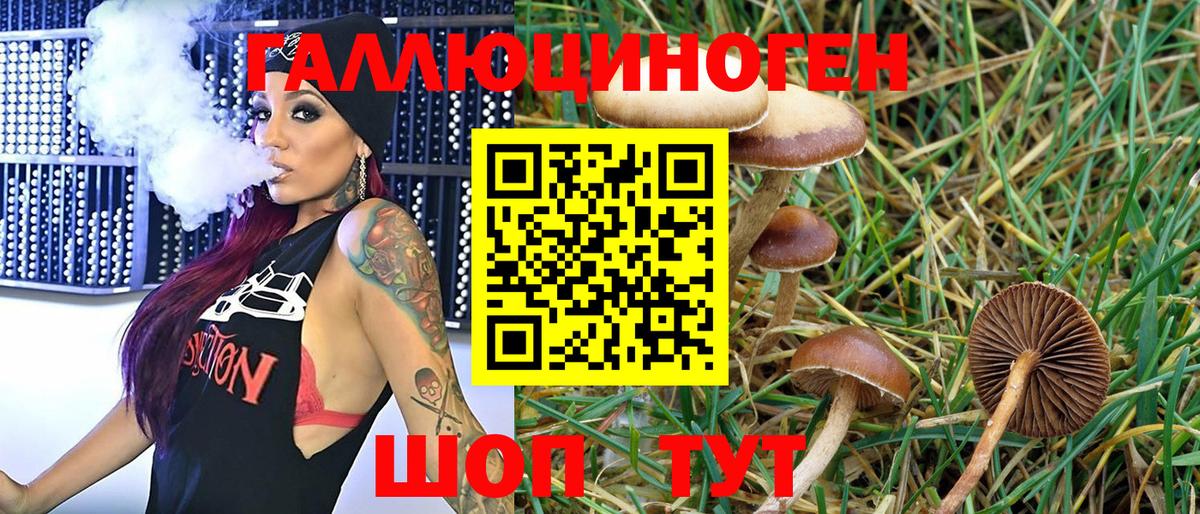 Галлюциногенные грибы MAGIC MUSHROOMS Златоуст